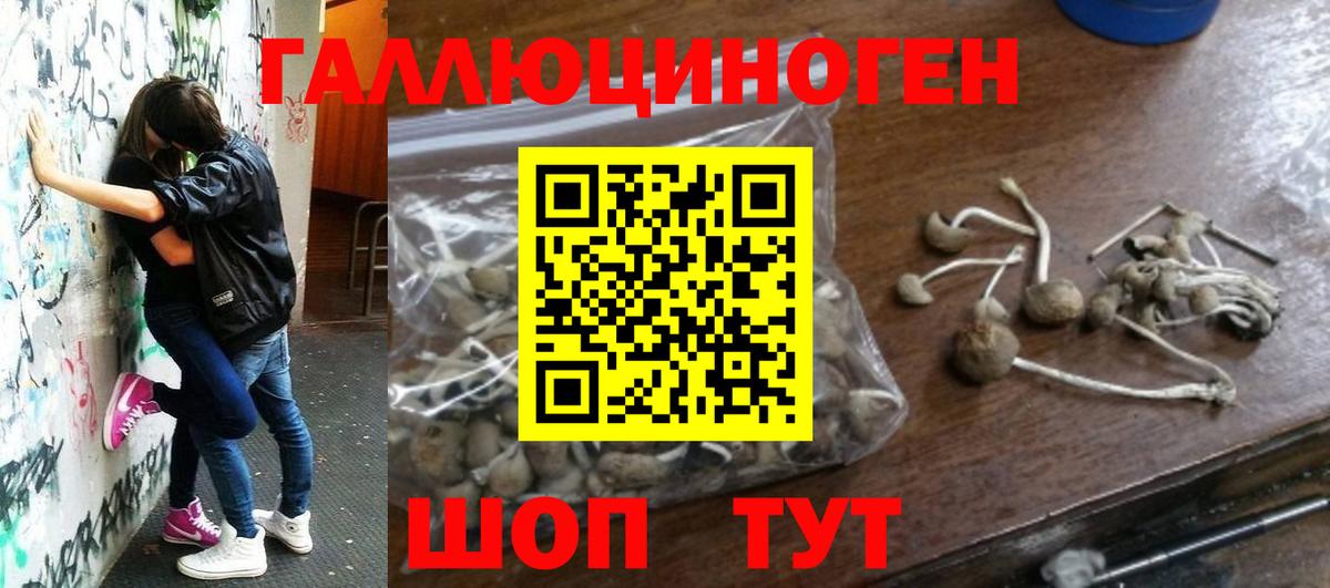 Псилоцибиновые грибы мухоморы Заречный