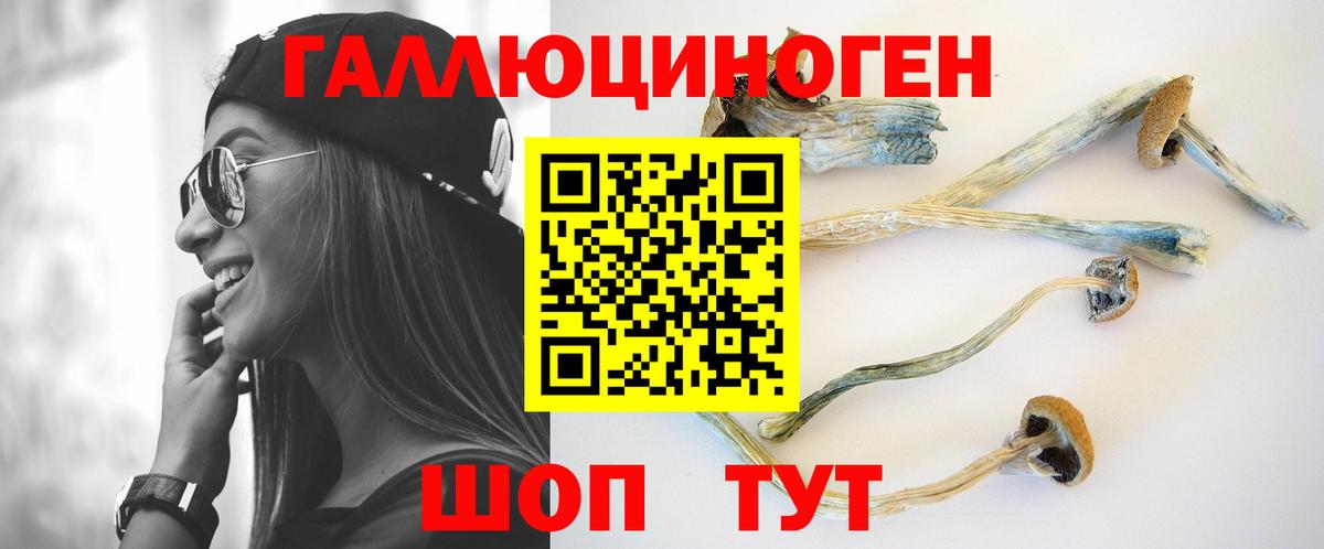 где продают наркотики  Вход с VPN  Заречный  Псилоцибиновые грибы MAGIC MUSHROOMS  Псилоцибиновые грибы Cubensis 